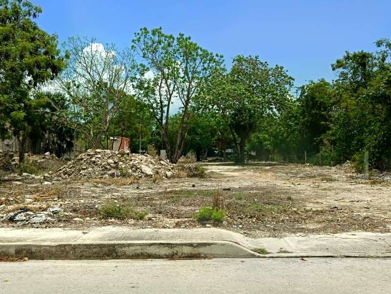Imagen secundaria de la propiedad