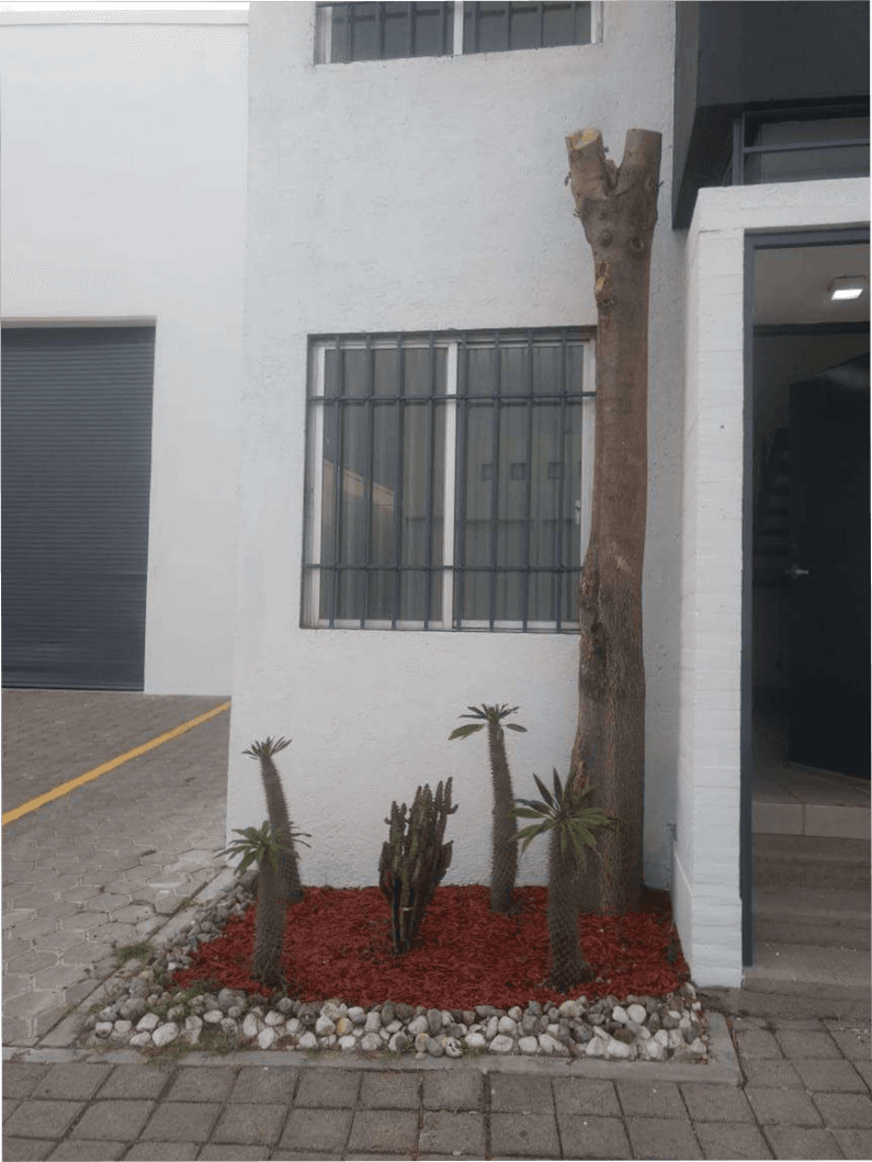 Imagen principal de la propiedad